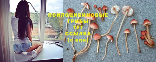 тгк Алексеевка