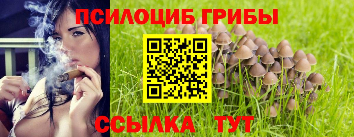 Галлюциногенные грибы мухоморы  Псилоцибиновые грибы прущие грибы  Вход с VPN  Кимры 