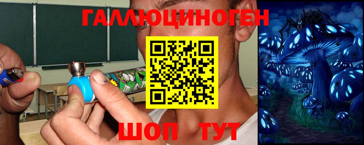 Псилоцибиновые грибы Cubensis Кимры